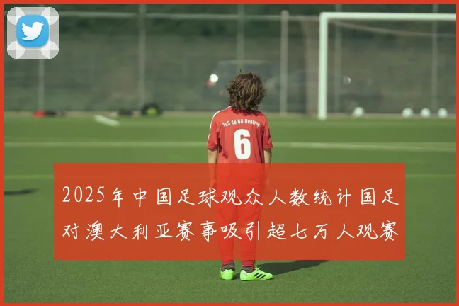 2025年中国足球观众人数统计国足对澳大利亚赛事吸引超七万人观赛
